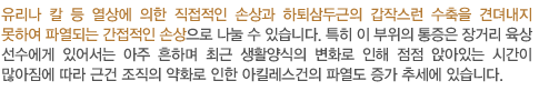 유리나 칼 등 열상에 의한 직접적인 손상과 하퇴삼두근의 갑작스런 수축을 견뎌내지 못하여 파열되는 간접적인 손상으로 나눌 수 있습니다. 특히 이 부위의 통증은 장거리 육상 선수에게 있어서는 아주 흔하며 최근 생활양식의 변화로 인해 점점 앉아있는 시간이 많아짐에 따라 근건 조직의 약화로 인한 아킬레스건의 파열도 증가 추세에 있습니다.