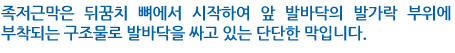 족저근막은 뒤꿈치 뼈에서 시작하여 앞 발바닥의 발가락 부위에 부착되는 구조물로 발바닥을 싸고 있는 단단한 막입니다. 