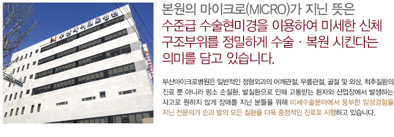 본원의 마이크로(MICRO)가 지닌 뜻은 첨단 수술현미경을 이용하여 미세한 신체구조 부위를 정밀하게 수술·복원 시킨다는 의미를 담고 있습니다. 부산마이크로병원은 일반적인 정형외과의 어깨관절, 무릎관절, 골절 및 외상, 척추질환의 진료 뿐 아니라 평소 손질환, 발질환으로 인해 고통받는 환자와 산업장에서 발생하는 사고로 원하지 않게 장애는 지닌 분들을 위해 미세수술분야에서 풍부한 임상경험을 지닌 수부세부전문의가 손과 발의 모든 질환을 더욱 특화된 진료로 시행하고 있습니다.