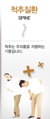 척추질환