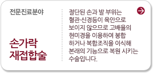 손가락 재접합술